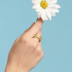 Inner Circle Double Ring 15 Inner Circle Double Ring -Brighton inner circle double ring gold 2