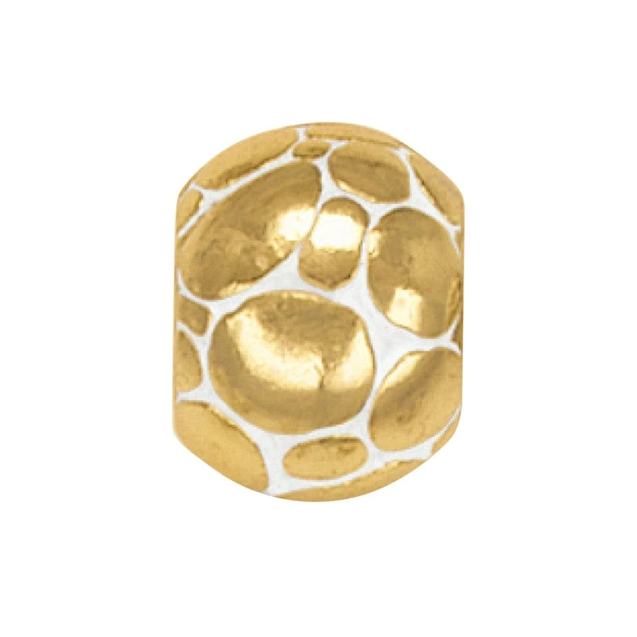 Paradise Cove Shell Charm Bracelet 3 Paradise Cove Shell Charm Bracelet - Image 3