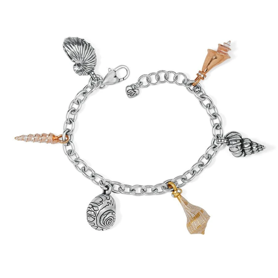 Shells Around The World Shell Charm Bracelet 1 Shells Around The World Shell Charm Bracelet